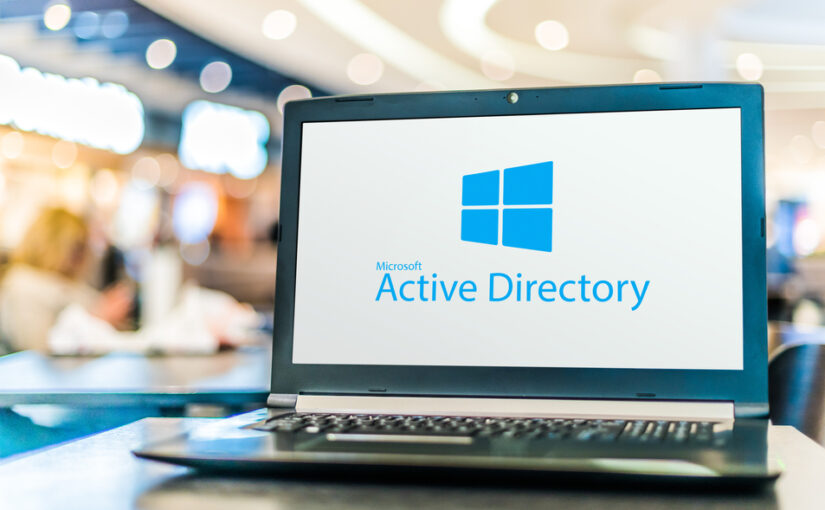 Na czym polega usługa Active Directory?